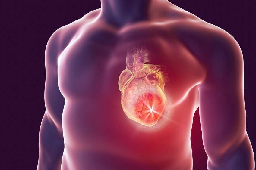 Naturally Improve Heart Health & Reduce Heart Disease Risk